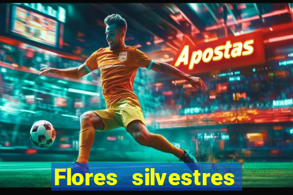 Flores silvestres brasileiras brasileiras flores silvestres nomes e imagens